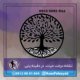 درخت حیات در دفینه یابی