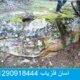 جوغن