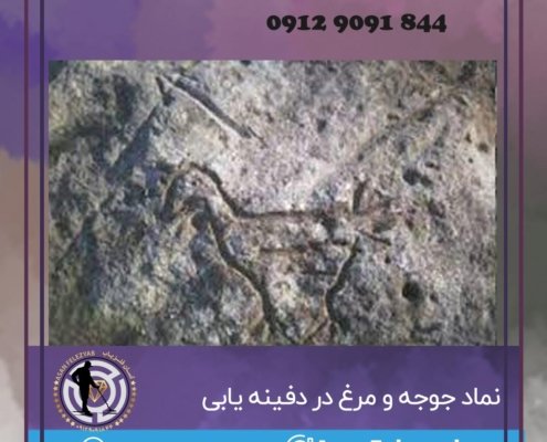 جوجه