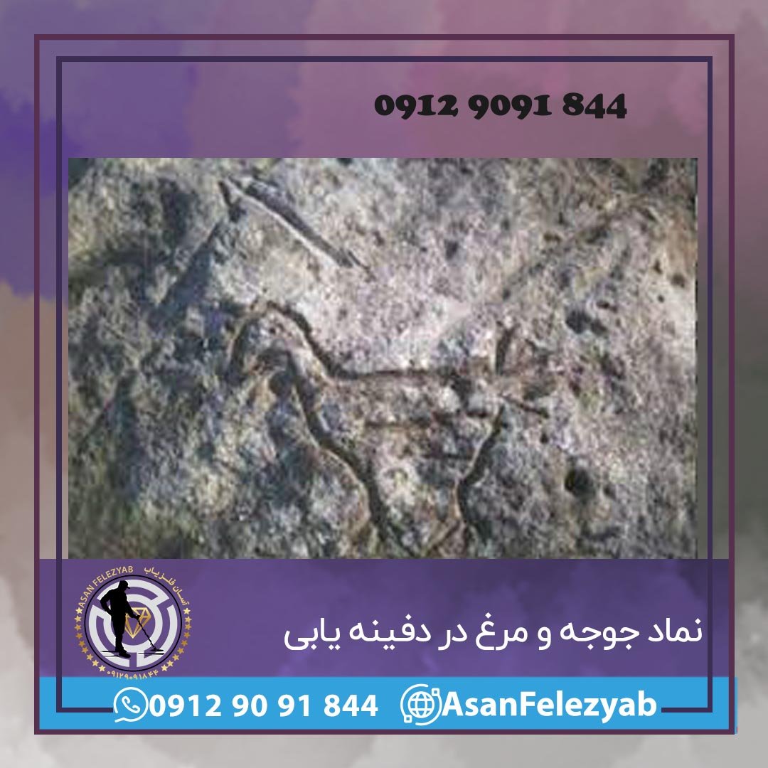 جوجه