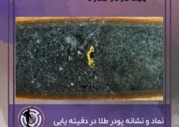 پودر طلا در گنج یابی