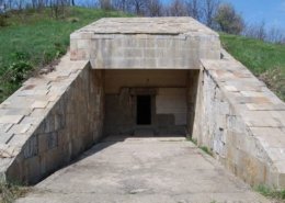 خطرات تومولوس