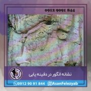 انگور نشانه انگور