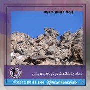 شتر2 نماد شتر در دفینه یابی