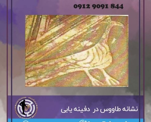 نشانه طاووس در گنج یابی و دفینه یابی