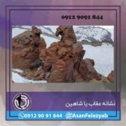 عقاب نشانه عقاب یا شاهین
