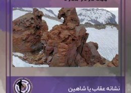 نشانه عقاب یا شاهین