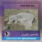 فیل1 نشانه فیل دفینه یابی