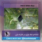 لوزی لوزی