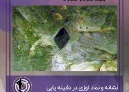 لوزی