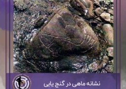 نشانه ماهی در گنج یابی
