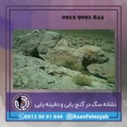 نشانه سگ در گنج یابی نشانه سگ در گنج یابی