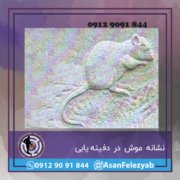 نشانه موش در دفینه یابی نشانه موش در دفینه یابی