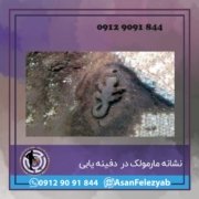 گنج یابی و نشانه مارمولک در گنج یابی و دفینه یابی