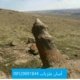 نشانه آلت تناسلی