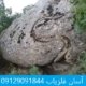 نشانه مار