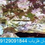 tir نشان آخر دفینه