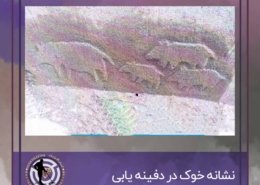 نشانه خوک در دفینه یابی