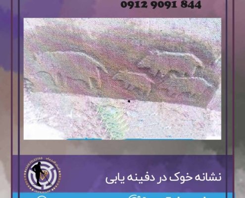 نشانه خوک در دفینه یابی
