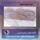 نشانه خوک در دفینه یابی