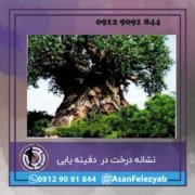 درخت نشانه درخت در گنج یابی و دفینه یابی