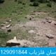 قبر شناسی