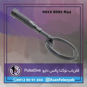 فلزیاب نوکتا پالس دایو Nokta PulseDive