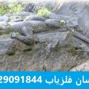aftab parast نماد آفتاب پرست