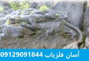 نماد آفتاب پرست