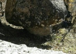 سنگ قارچ