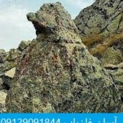index نماد کبک