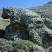 khers3 نشانه خرس لنگان در دفینه یابی
