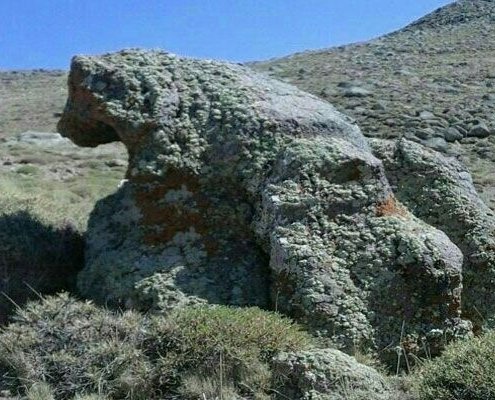 نشانه خرس لنگان در دفینه یابی