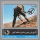 پیدا کردن گنج بدون نقشه