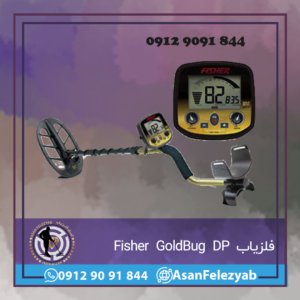 فلزیاب Fisher GoldBug DP