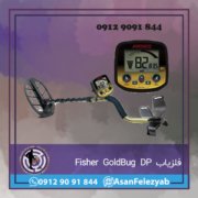 Fisher GoldBug DP